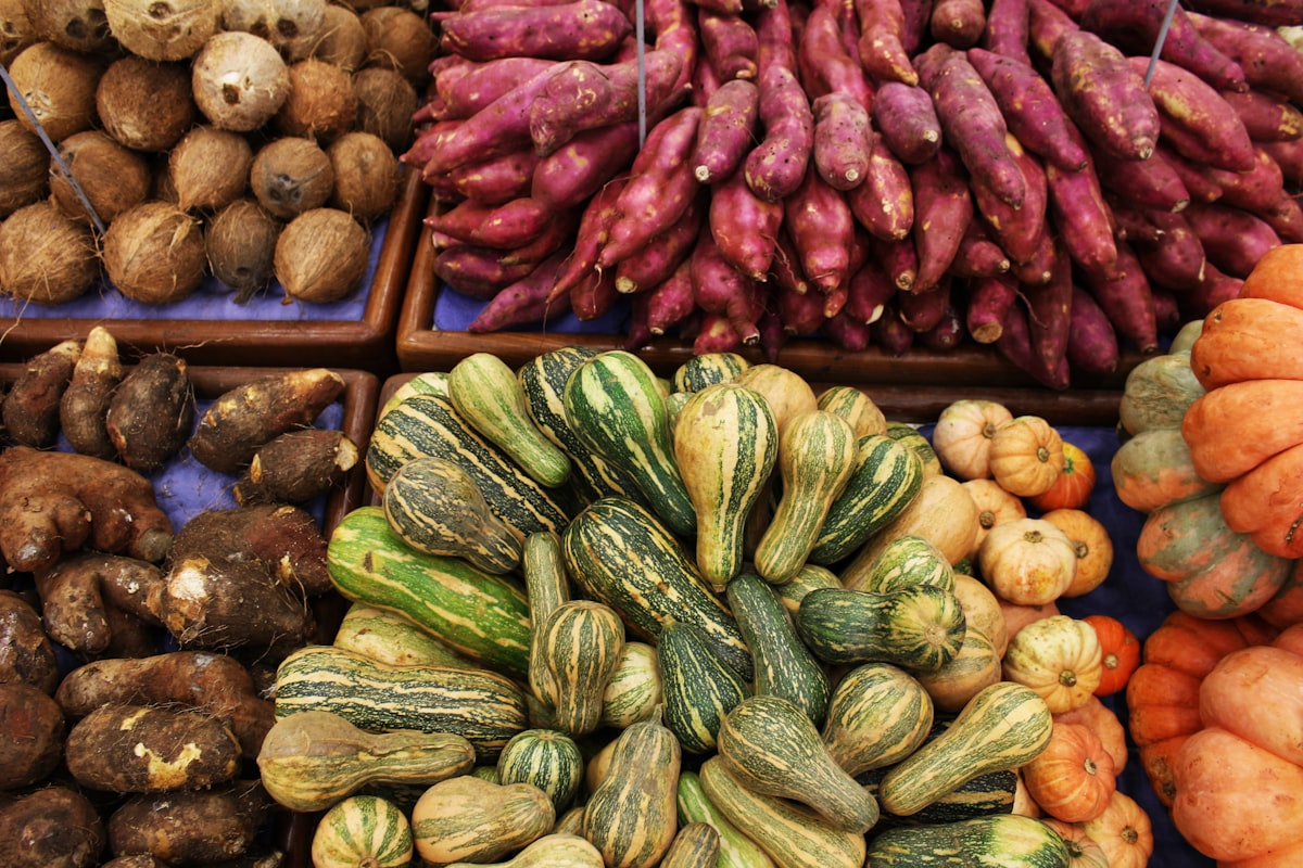 Ricette salutari e piatti nutrienti